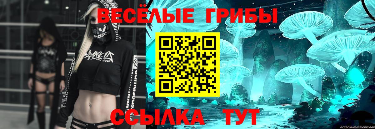 Псилоцибиновые грибы Psilocybine cubensis  Вход с VPN  Урай 
